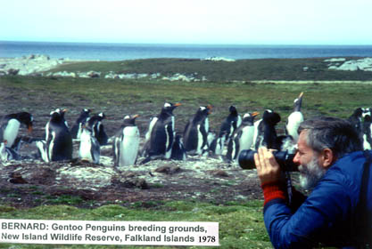 Falkland Islands 1978