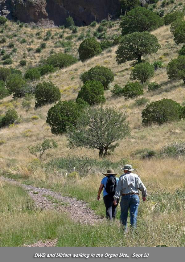 walk in mountains